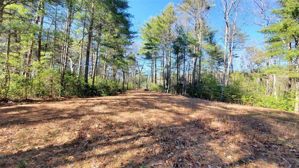 51+ AC Mountain Cove Way, Cherry Log, Georgia image 22