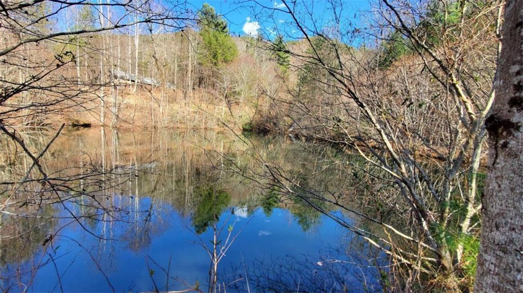 51+ AC Mountain Cove Way, Cherry Log, Georgia image 7
