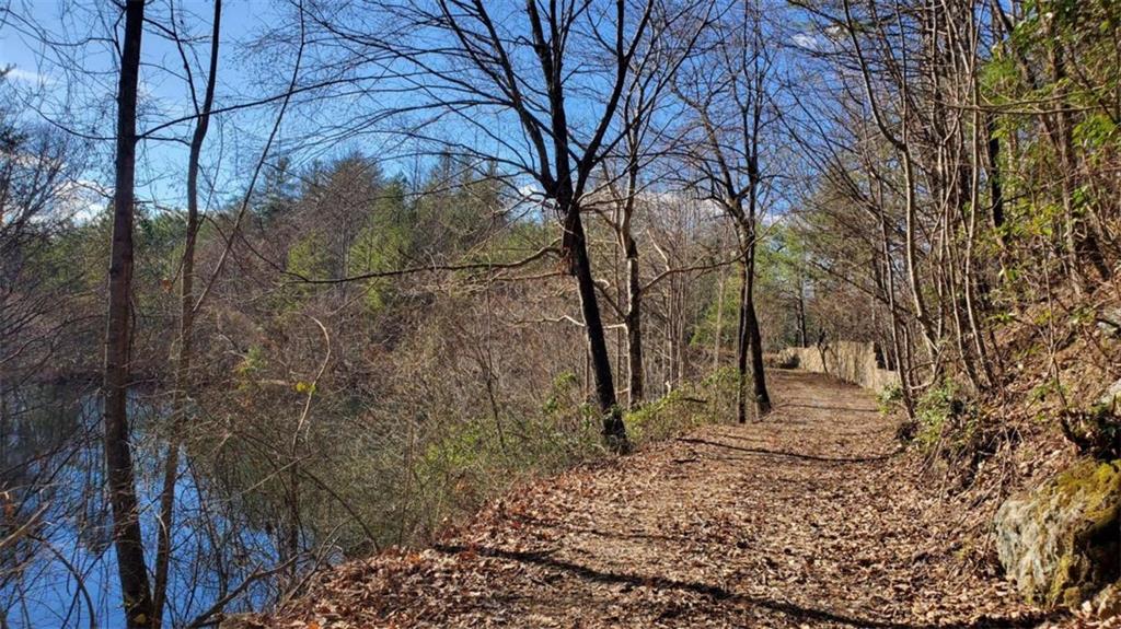 51+ AC Mountain Cove Way, Cherry Log, Georgia image 11