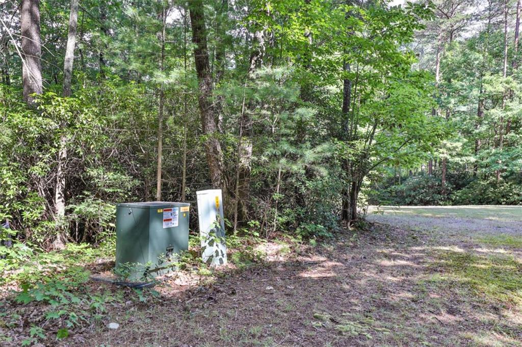 51+ AC Mountain Cove Way, Cherry Log, Georgia image 15