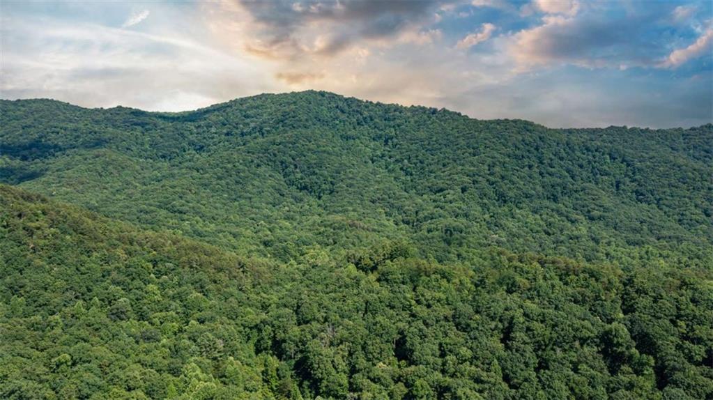51+ AC Mountain Cove Way, Cherry Log, Georgia image 32