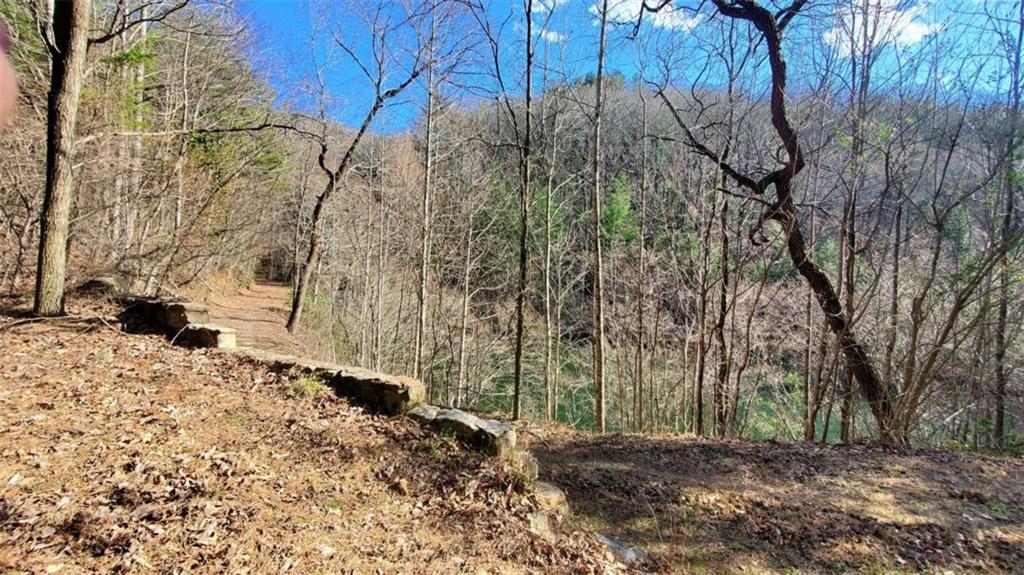 51+ AC Mountain Cove Way, Cherry Log, Georgia image 12