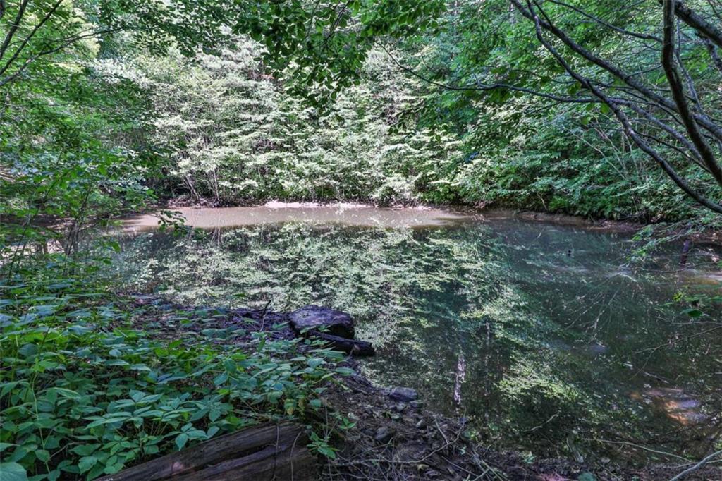 51+ AC Mountain Cove Way, Cherry Log, Georgia image 30