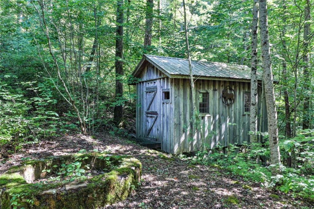 51+ AC Mountain Cove Way, Cherry Log, Georgia image 27