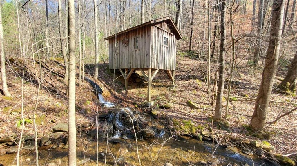 51+ AC Mountain Cove Way, Cherry Log, Georgia image 6