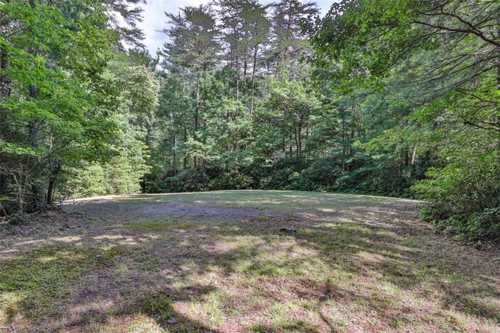 51+ AC Mountain Cove Way, Cherry Log, Georgia image 31
