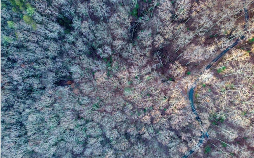 5.64A Griffith Parkway, Blue Ridge, Georgia image 13
