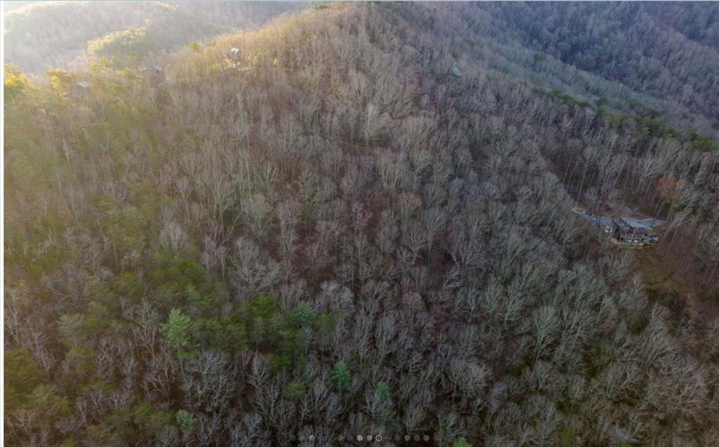 5.64A Griffith Parkway, Blue Ridge, Georgia image 10