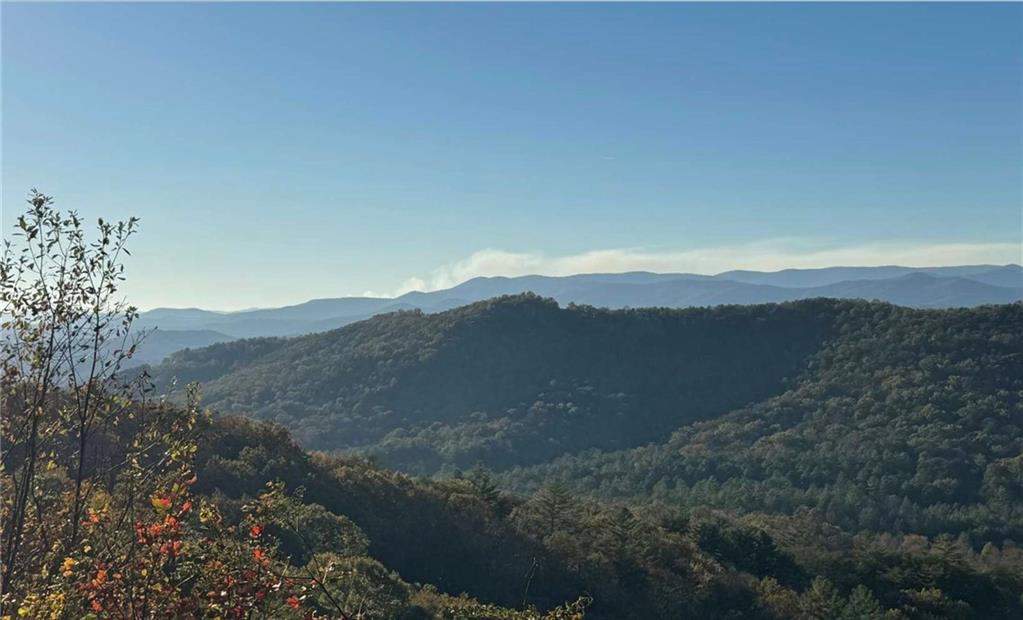 5.64A Griffith Parkway, Blue Ridge, Georgia image 1