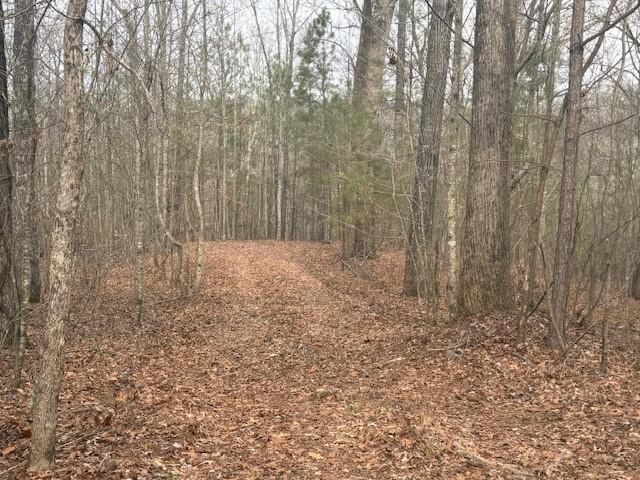 Lot 2 Swan Bridge Road