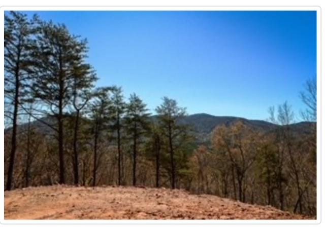 Clearview Mountain, Blue Ridge, Georgia image 4