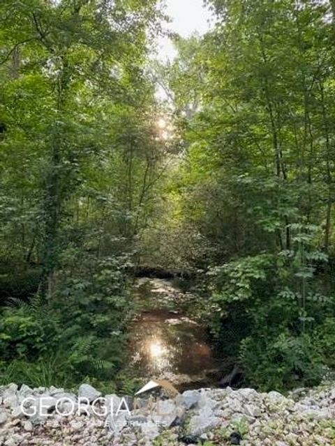 Vacant Land For Sale - 2535B Willow Lane<br/> Walton County, Social Circle, GA 30025