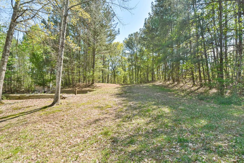 660 Soap Creek Road, Ball Ground, Georgia image 40
