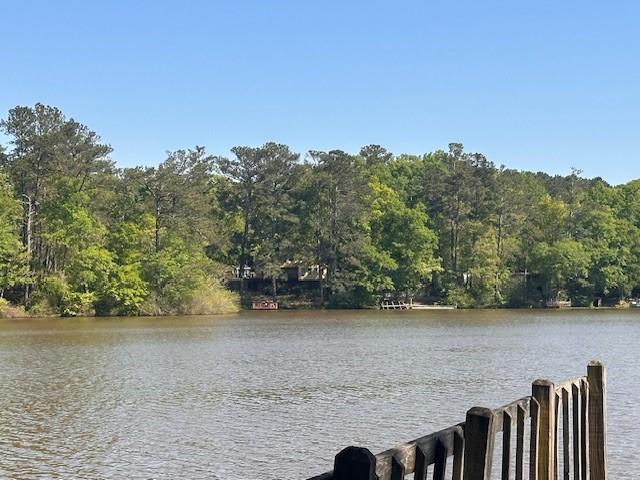 142 Antony Drive, Jackson, Georgia image 15