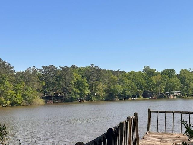 142 Antony Drive, Jackson, Georgia image 12