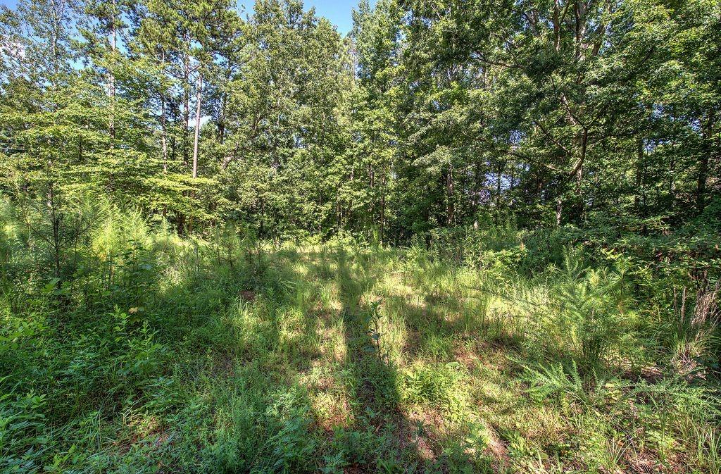 573 Dallas Highway SE