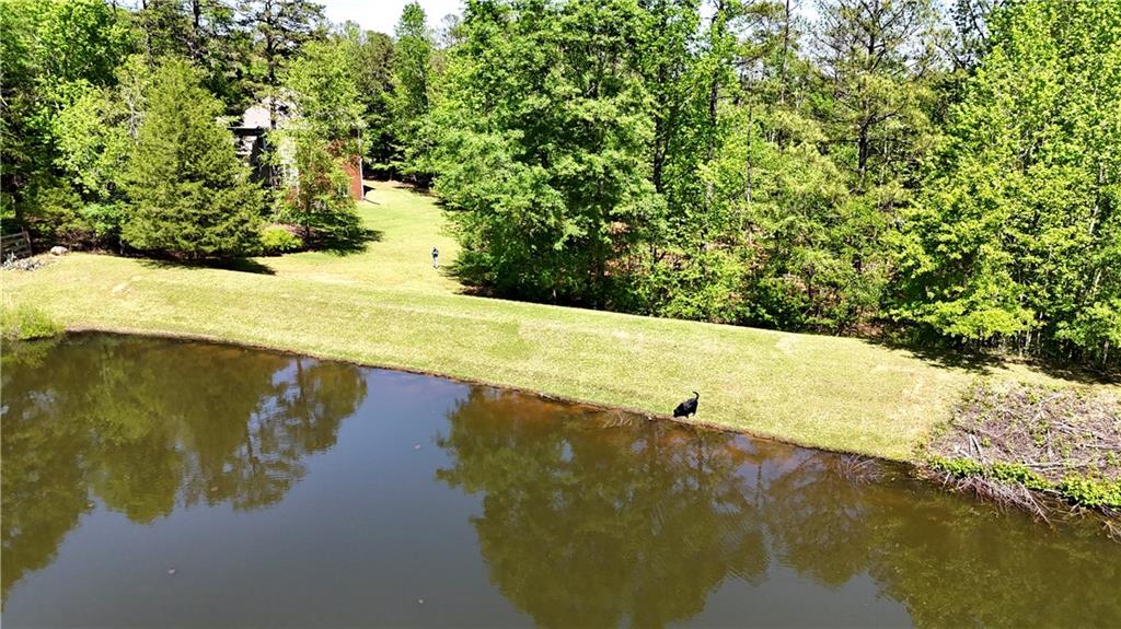 219 Deerhill Drive, Bogart, Georgia image 29