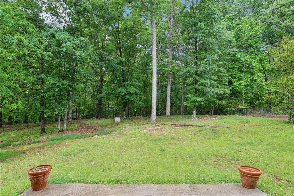 3641 Willow Club Drive, Loganville, Georgia image 41