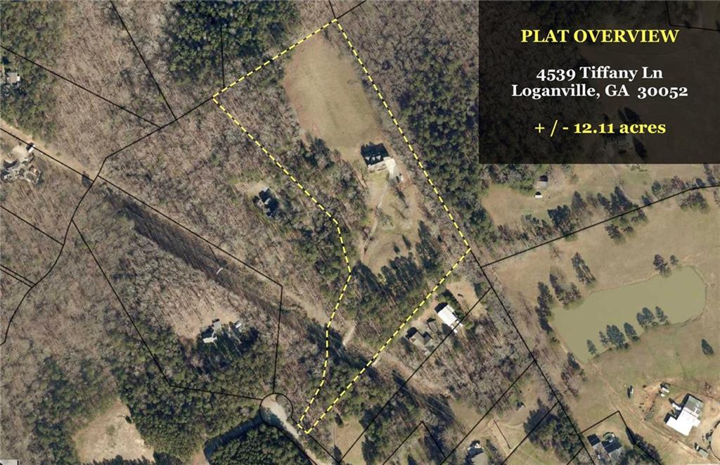 4539 Tiffany Lane, Loganville, Georgia image 45