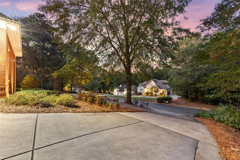 248 Montrose Drive, Mcdonough, Georgia image 3