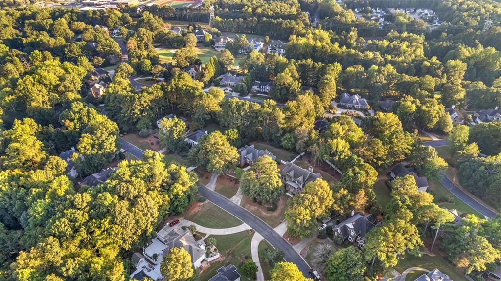 248 Montrose Drive, Mcdonough, Georgia image 12