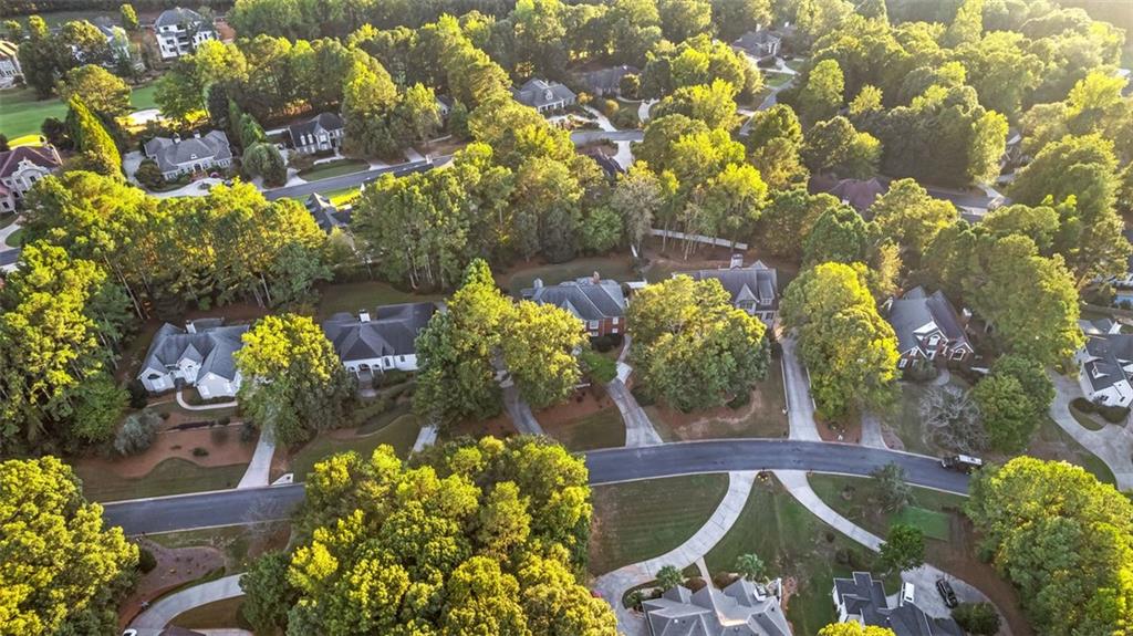 248 Montrose Drive, Mcdonough, Georgia image 16