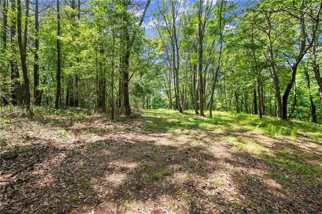 1000 Jim Johnson Road, Winder, Georgia image 35