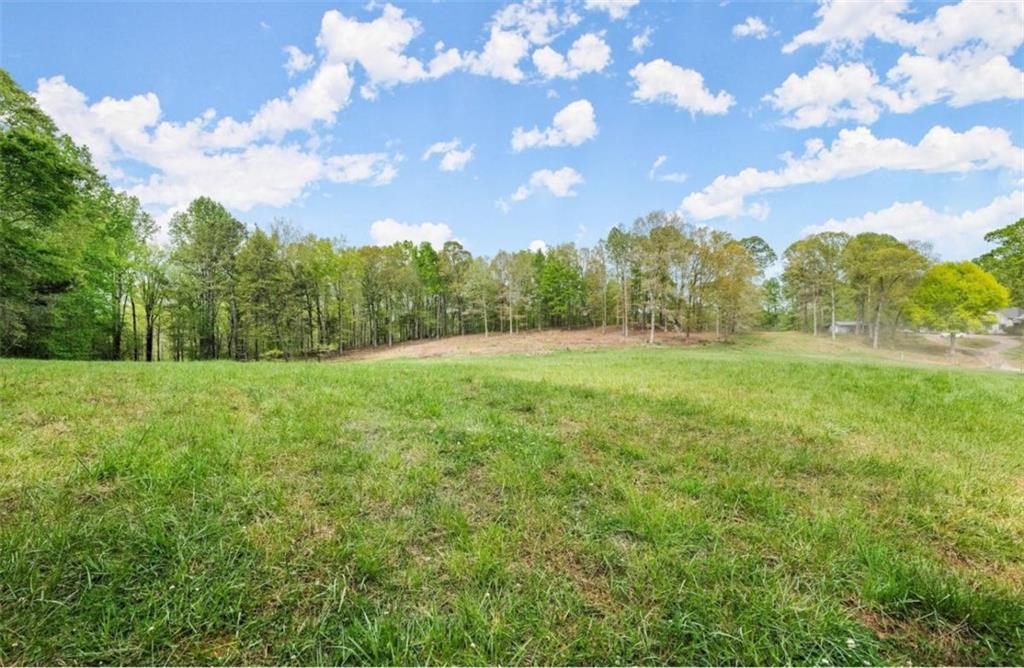 Peaceful and Quiet 4.32Acres - If privacy is what you seek, look no further! This lot is perfect to build your dream home without an HOA. Featuring a picturesque flowing creek for those with a passion for the outdoors. Beautiful pasture land in the front. Enjoy privacy, trails, and river bottom where you could create your own garden oasis and add your own gazebo overlooking the flowing river. This property is conveniently located with easy access to I-85 and I-985, making commuting and exploring the area a breeze.