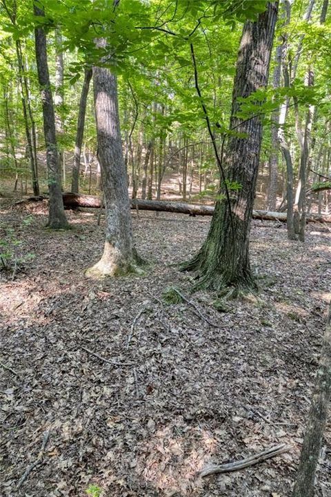 Vacant Land For Sale - 90 Cardinal Cove<br/> Big Canoe, GA 30143