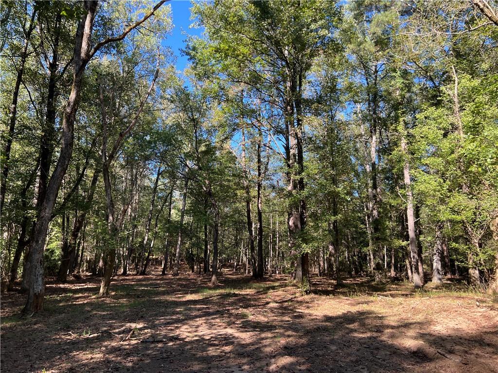 Burfordi Drive, Marietta, Georgia image 2