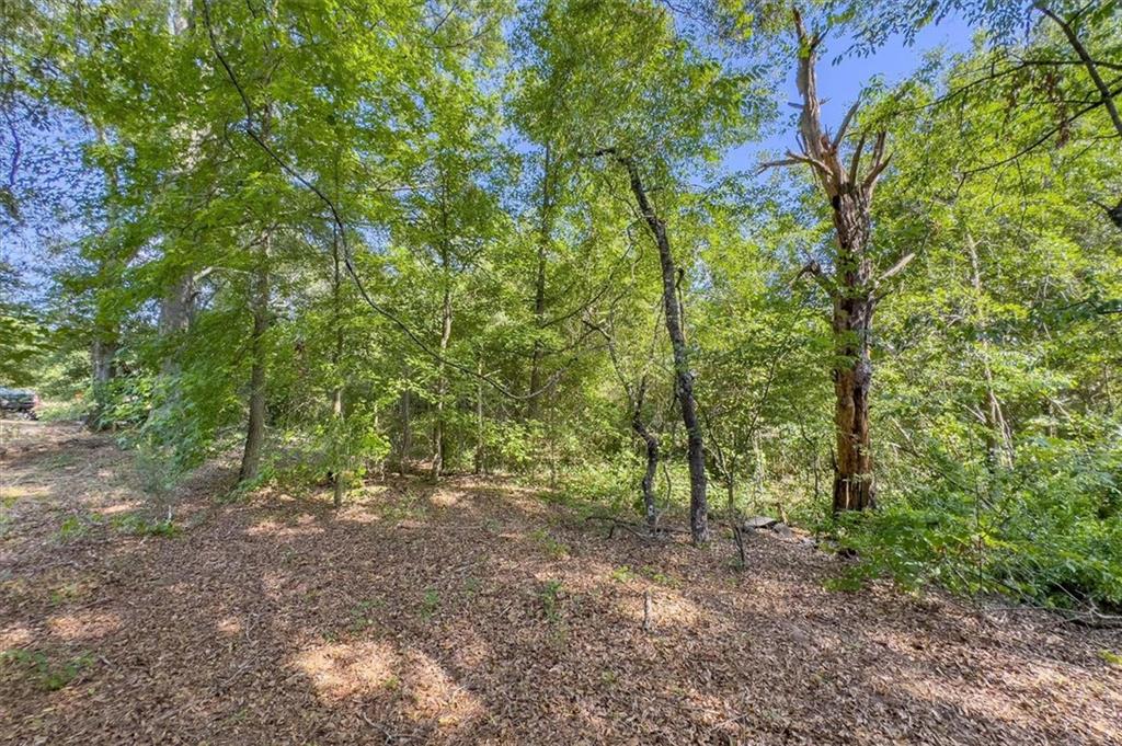 1960 Lost Mountain Road, Powder Springs, Georgia image 15