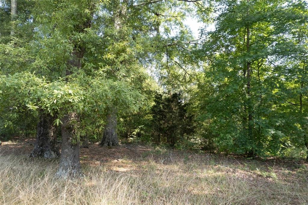 1960 Lost Mountain Road, Powder Springs, Georgia image 18