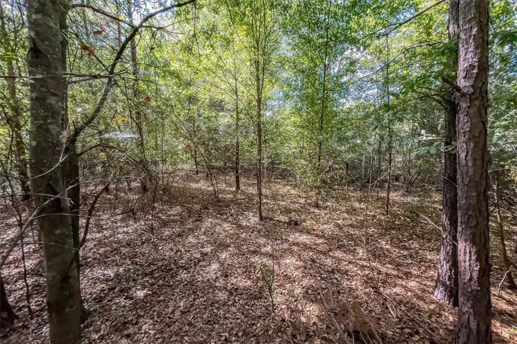 1960 Lost Mountain Road, Powder Springs, Georgia image 10