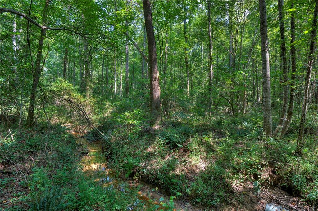 Randall Creek Drive, Canton, Georgia image 1