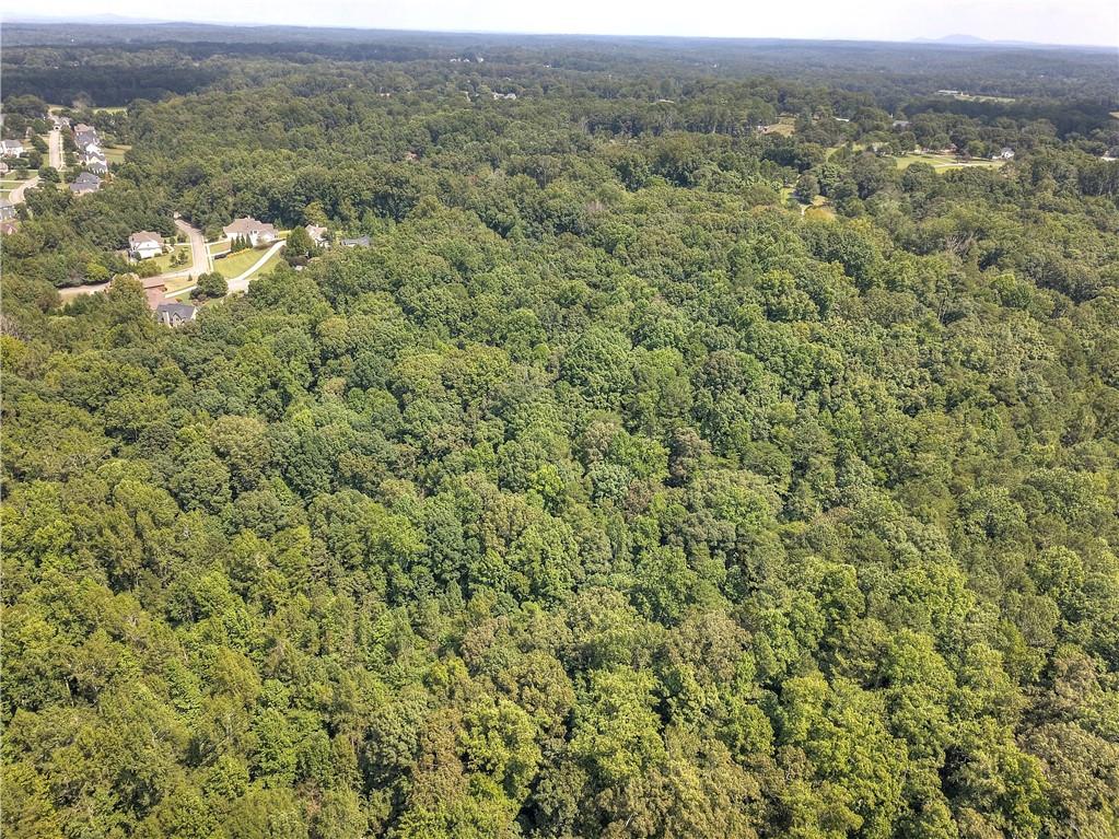 Randall Creek Drive, Canton, Georgia image 6