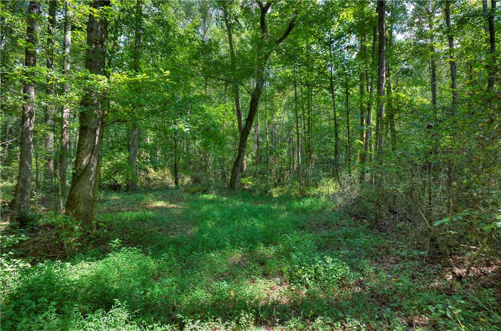 Randall Creek Drive, Canton, Georgia image 2