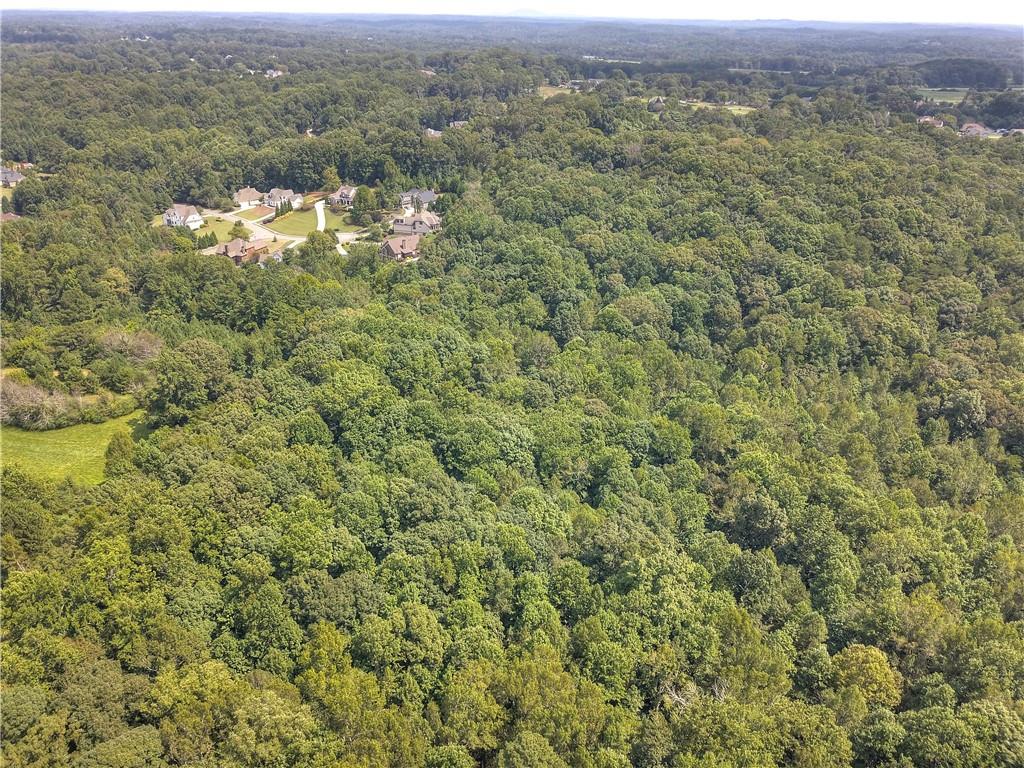 Randall Creek Drive, Canton, Georgia image 3