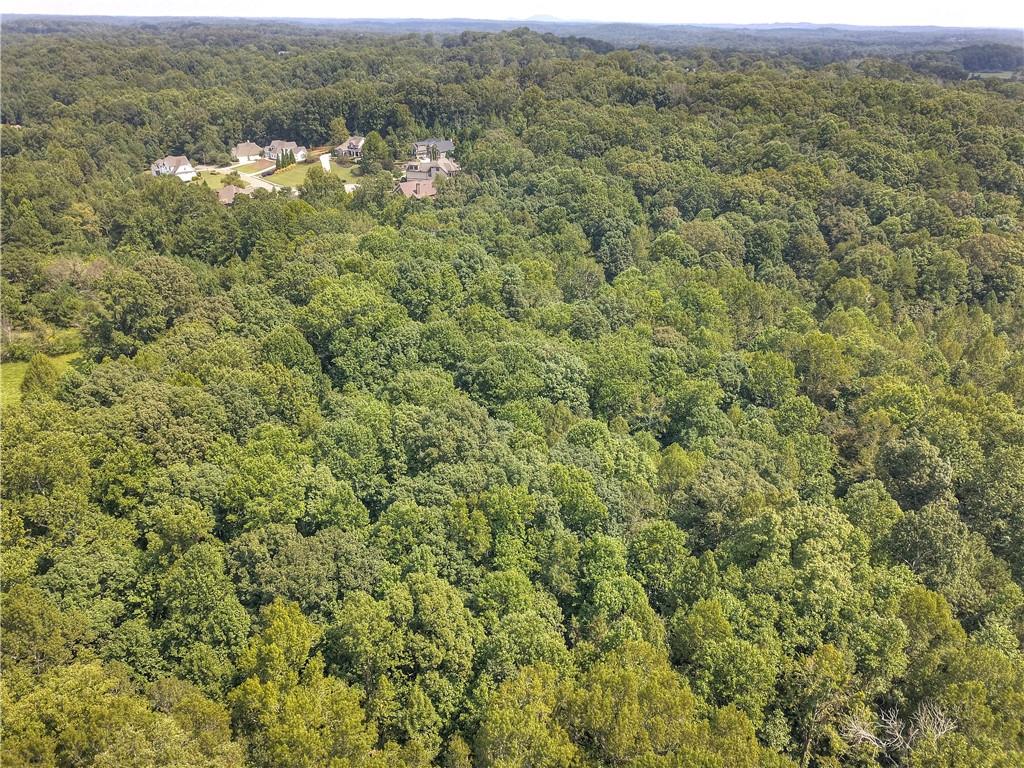Randall Creek Drive, Canton, Georgia image 24