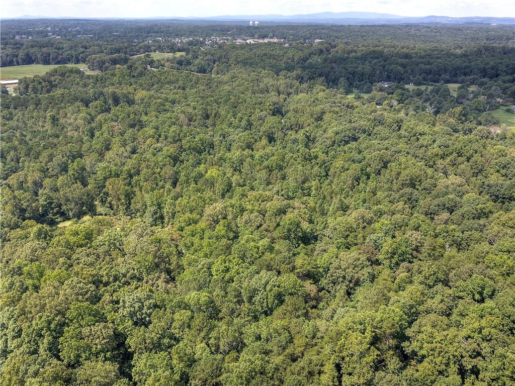 Randall Creek Drive, Canton, Georgia image 9