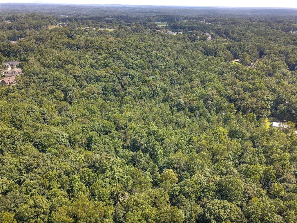 Randall Creek Drive, Canton, Georgia image 4