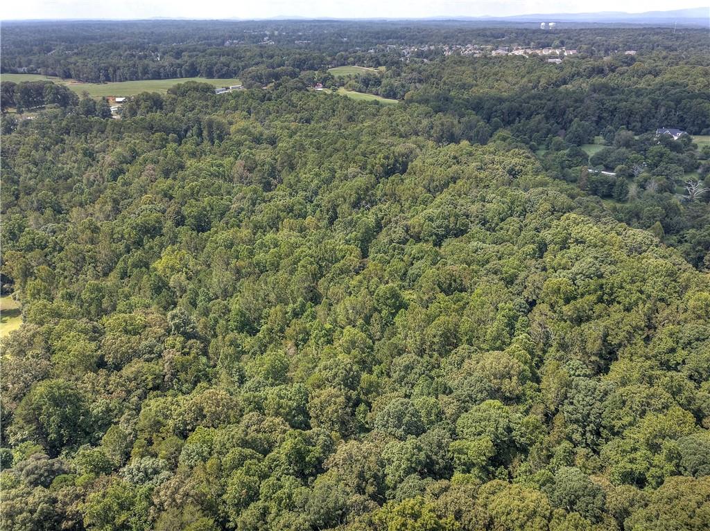 Randall Creek Drive, Canton, Georgia image 10
