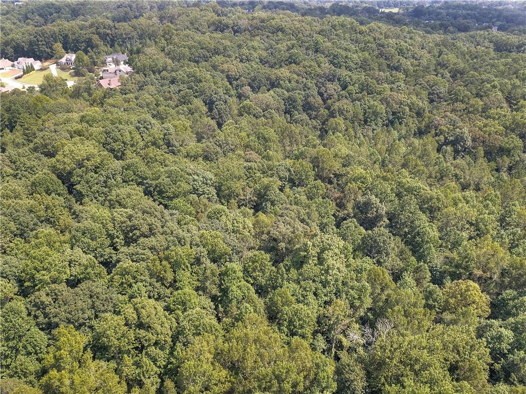 Randall Creek Drive, Canton, Georgia image 20