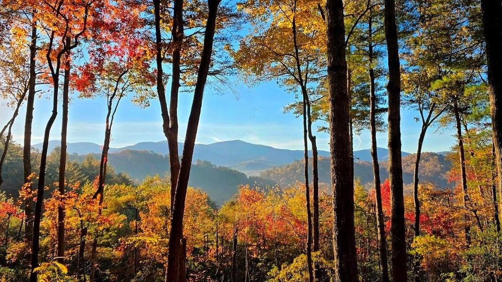 LOT 3 Gold Ridge Trail