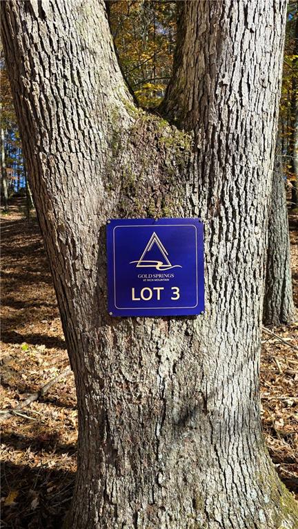 LOT 3 Gold Ridge Trail