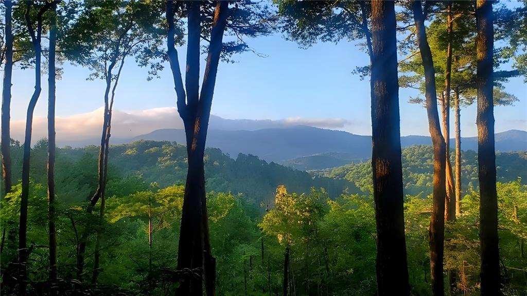 LOT 3 Gold Ridge Trail