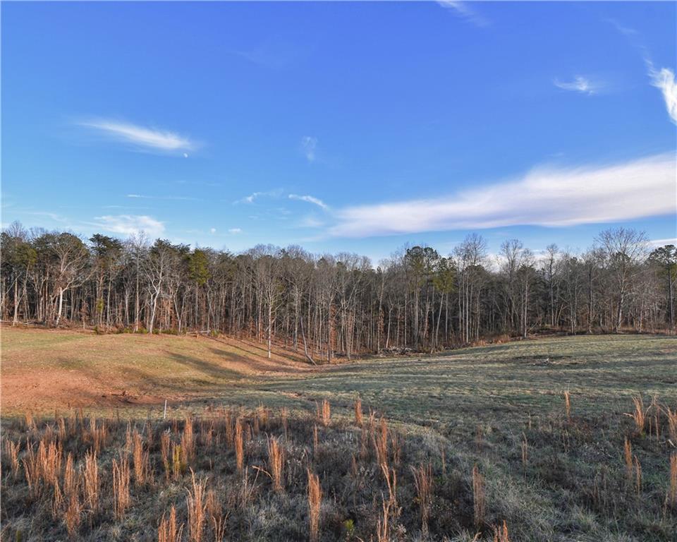 960 Bryant Loop, Ranger, Georgia image 9