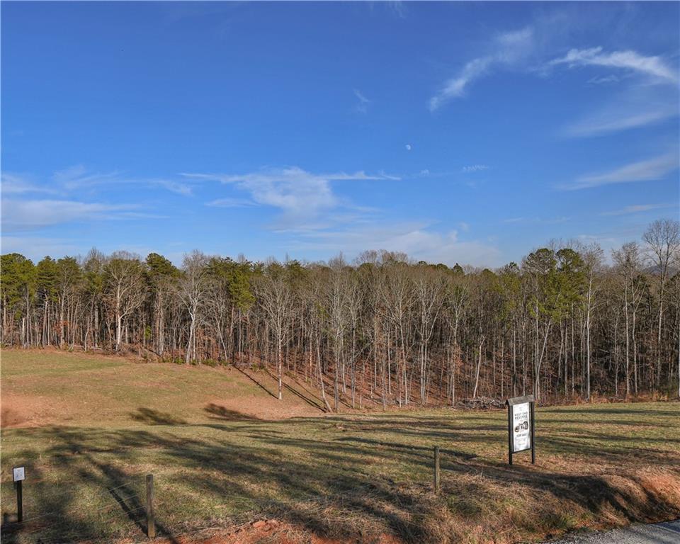 960 Bryant Loop, Ranger, Georgia image 7