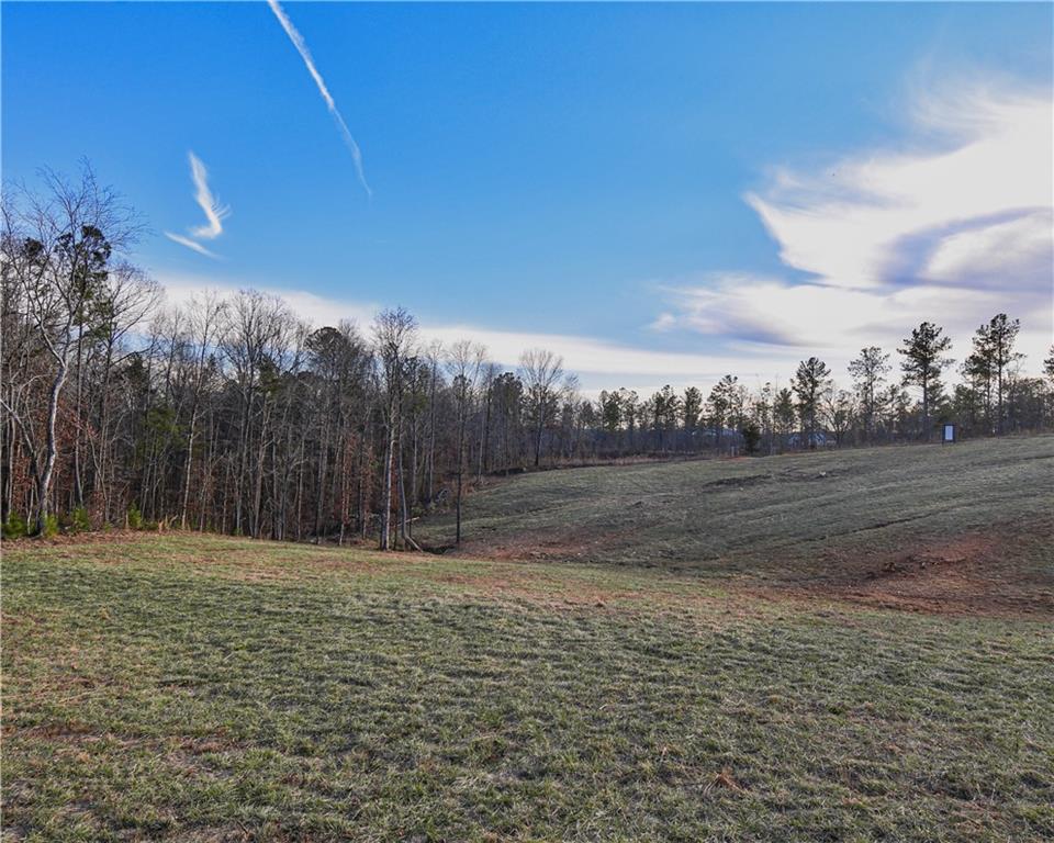 960 Bryant Loop, Ranger, Georgia image 6