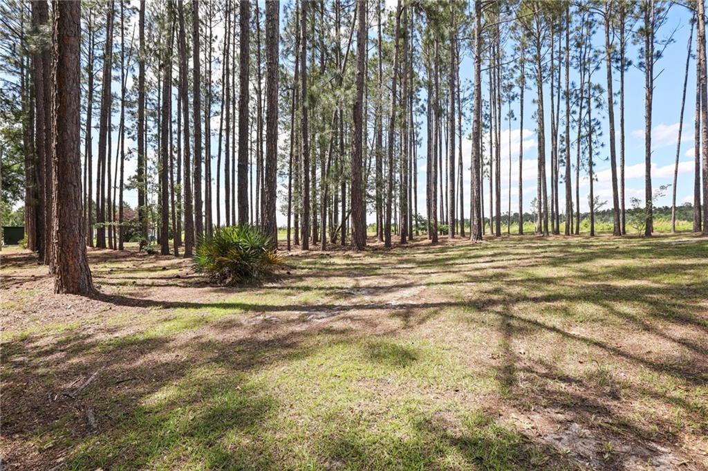621 Aaron Holland Road, Jesup, Georgia image 41