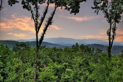 A home in Blue Ridge